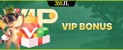 Live Casino Experience
